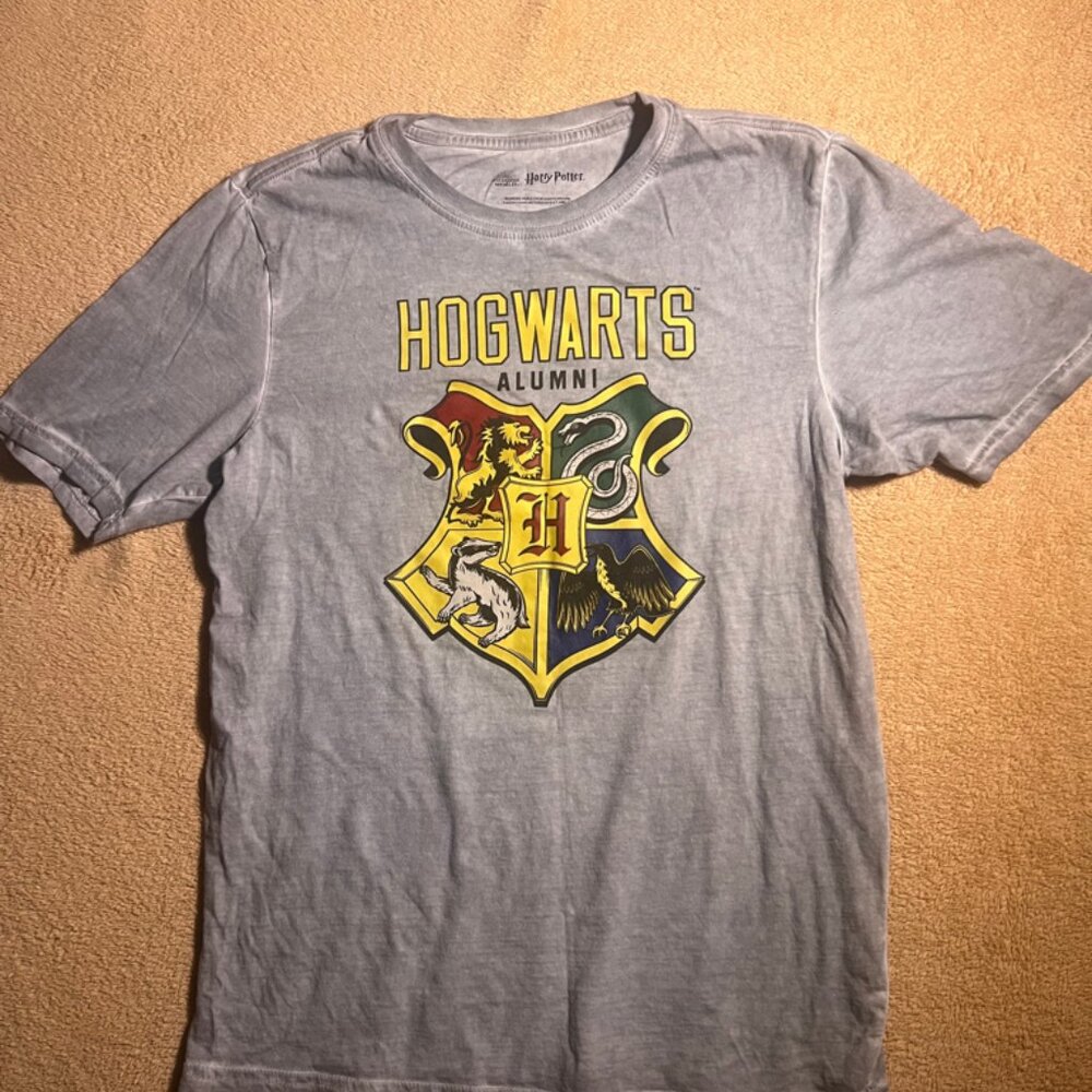 Harry Potter Wizarding World Youth 2XL (18) Gray Hogwarts Crest T-Shirt